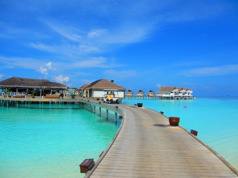 A6409801e100a54567f6db755c250866