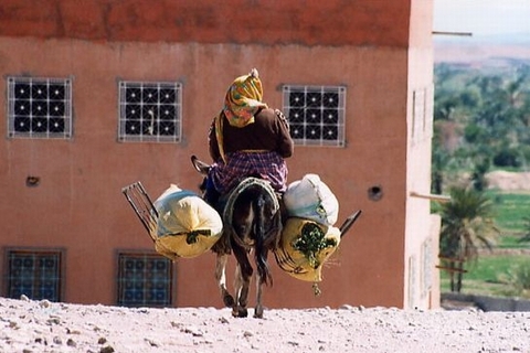 2a252ab11a3d5712d8ece84ccb144340