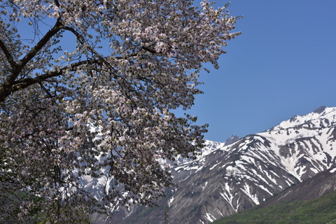 5e95c99603b0ea2e4b0f23e5a5816818