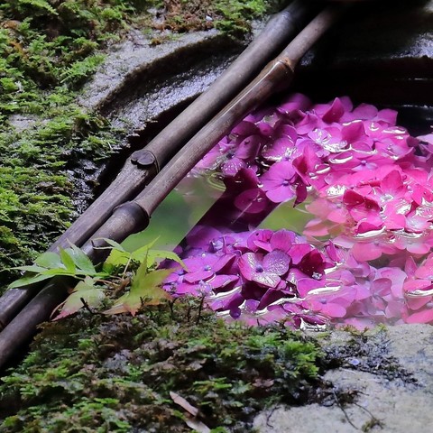 0c3ebcafc9fc0dca1a39406304ecdf01