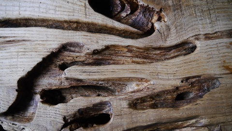 B704654175dfa29ad045fb04dc42b44f