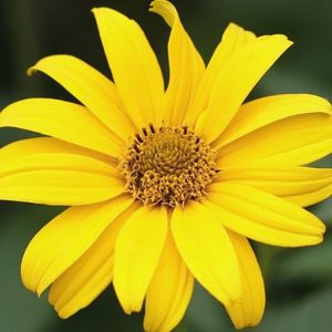 92c994da22c8e3018ce08769daa8f8aa