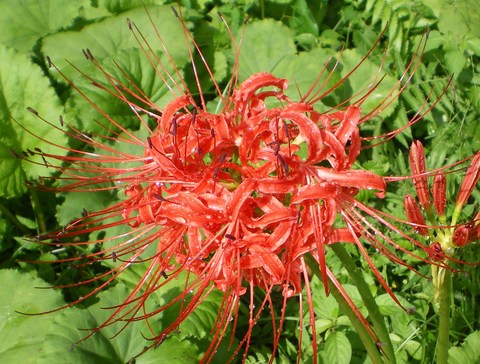 C1675ef6358b59cd07b4a40b722e4678