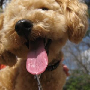 B14f5f82eb57c96343a4921e0cdb1a47