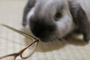 A8d48a82fef014a92c9f987195821612