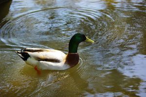 76b81f494e9609104fda073ca283f7cc