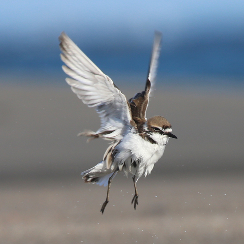 Ac921e36e7a1a59cd888cb1a91cb282c