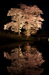 01dac6c5c2b8352edeb6d55608657460