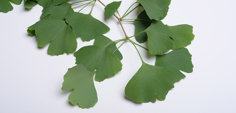 2043774e82191f91ed3d0e78bf654aed