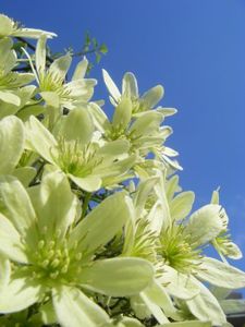 23509bb09b23853409e6637d4d2c89d0