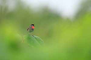 Eaec1ba3aa683beb363b04a05e9345fa