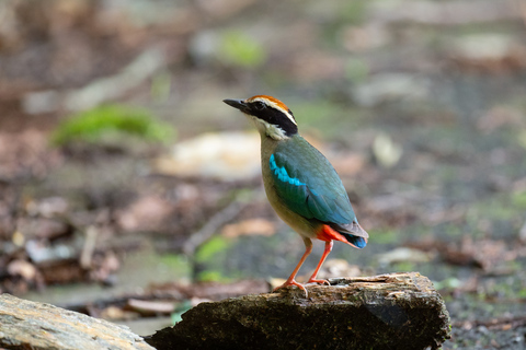 E7cf54c99d5efa55cbee89866bda2e8c