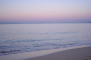 5bc67dabfe8a931d9548cbab68a60518