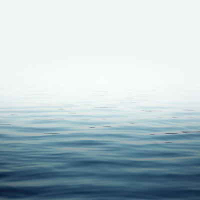 3e17fd7792bfdfe48f367058c9c19970