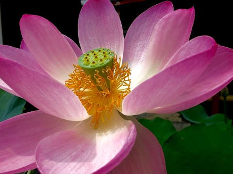 10b97199702c92b6b337cf35d598df7b