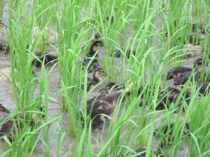 38f05666ae8b89da2a76335d6caf537e