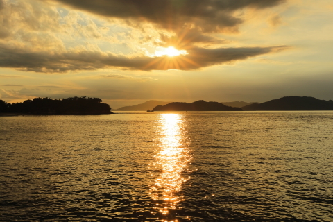 F4486ae955606488f1aa73f48df02f76