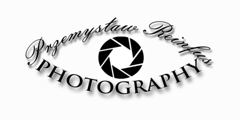 D77c2cfcb984369c003eb9d783869ee7