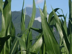 5761e13e4d6a988b9a40c1b59001a68f