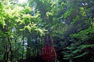 C24c6949a1269aa1e7195cccec651a04