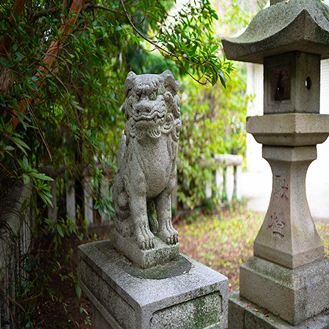 90b447da8306aa3755a1cf752aa43c19