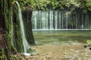 6563526d31fc78d04cff393d7e611e88