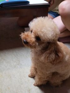 0b9c33c08566a96098cdb92da9481605