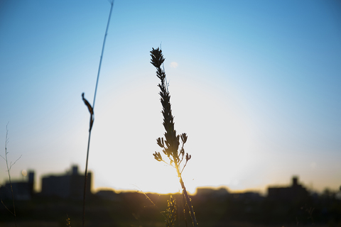 6b9ac1dbde5ed02c3c743c9627bd240f