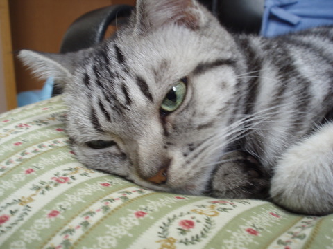 94cf8be79285c42a5b8b7821a80a78af