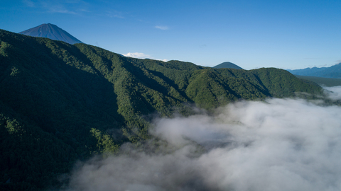 0da7e7c6be8f306de24e815a54859d0e