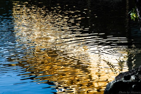 171a0156f42bf7351efbd1da86ebaeba