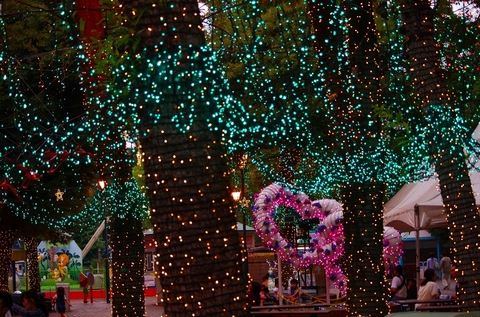 8bef412f77f79cd7f14f13bb0054f945