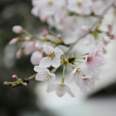 400ba715e7304eae80d7d1c819fb7808