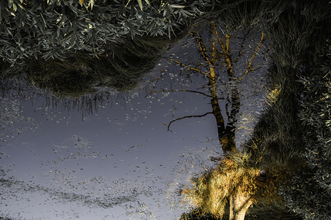 63167d7cc725036e4a9bb466be06d9b8