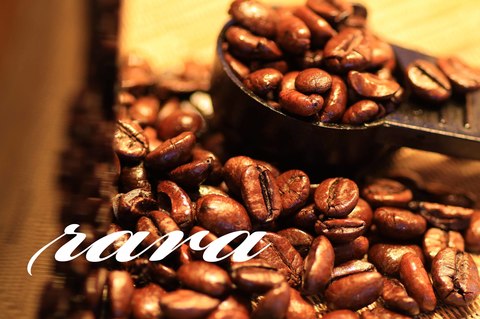 08882a8df0b2f4801607f1098678adc9