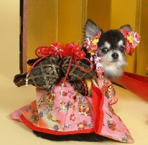 16541017fe1073301548987bb3689e6c