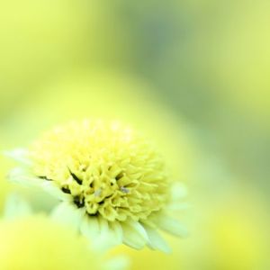 15b53d37f1e1bd801cdfb6c3510ed0ab