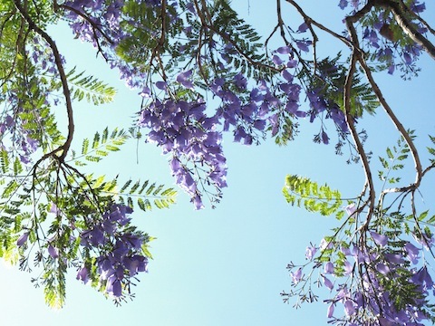 D24dd07385fa5cbaf290db1da5317b02