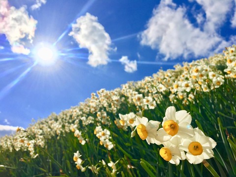 E8977c4913ab99c803cca2b028ae4161