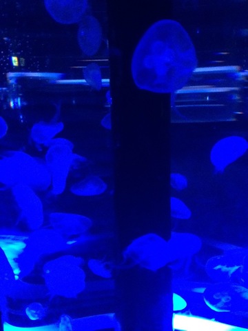 D7efa13386129de53d45814707af5c5f