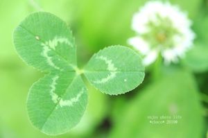 5a9488c0d83d7e0294d44aabfd82bcaf