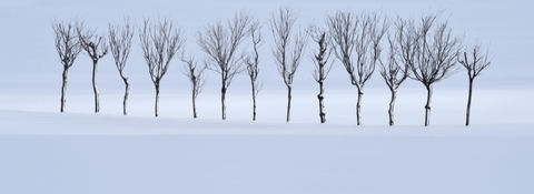 E6dfca38154eac3e3305246db0d69724