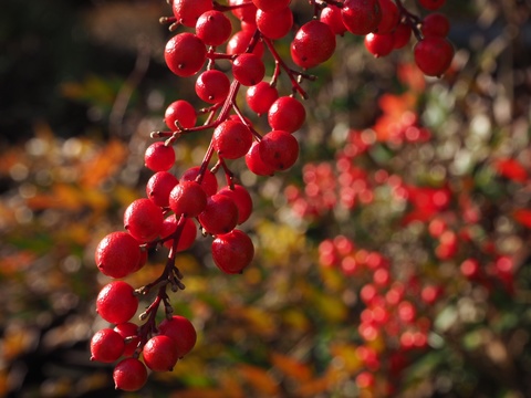 17bdeb026442da21b0afc4dfbb2b277b