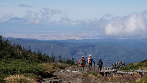 0c38fe2de250206a26b1465f2f9800b2