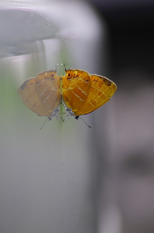 858e56095f32d666312d96e78946d2fe