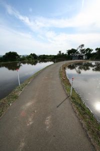 8b0f36e0bc2c8350dedac5402430cace