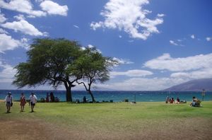 E7fc102f594a5c63b994b609877eb5ae