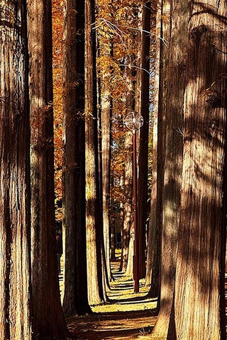 62d151d6d46fecd8590363c58f14ae69