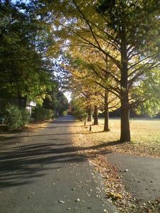 E0bc1953ba59fc6d20854aa6a7916202