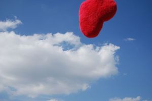 6d476702734a674075f55a17ff1a1027